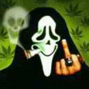 Meet your Posher, Snoopy